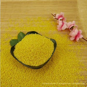 Millet collant de millet jaune gluant de la récolte 2016 pour le gâteau de riz